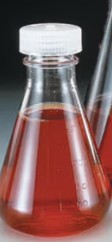MATRAZ ERLENMEYER PLASTICO 250 ML PC T/ROSCA (4)
