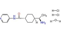 Y-27632 ≥95% (HPLC) (500UG)