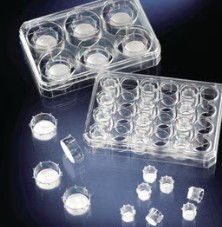 INSERTO PLACA CULTIVO CEL. 6 POCILLOS 8.0 UM (24)
