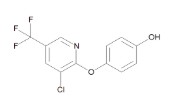 HALOXYFOP-FENOL (25 MG)