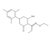 TRALKOXYDIM (250MG)