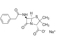 PENICILLIN G SODIUM SALT (100MU)