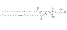 16:0-18:1 PG (25 MG)