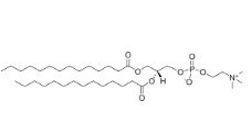 14:0 PC (DMPC) (200 MG)