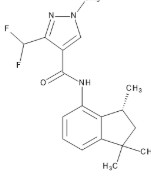 INPYRFLUXAM (10 MG)