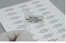 ETIQUETA BLANCA LASER CRYO-BABIES 33X13 MM (1700)