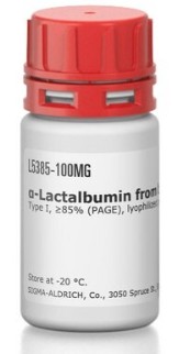 ALPHA-LACTALBUMIN TYPE I FROM BOVINE MILK (25 MG)