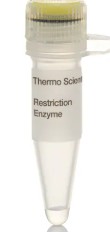 HpyF3I (DdeI) (10 U/μL) ENZIMA DE RESTRICCION