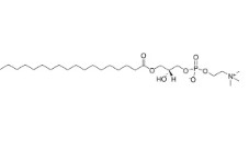 18:0 LYSO PC (25 MG)