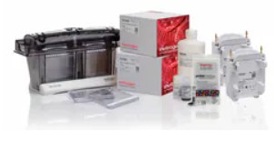 NUPAGE BIS-TRIS WELL. PACK MINI BLOT MODULES 4-12%