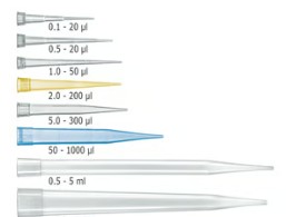 PUNTAS PIPETAS 0.1-20UL (2X1000)