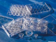 INSERTO MEMBRANA POLIESTER 3,0 UM CORNING (24)