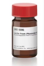 LECTINA DE PHASEOLUS VULGARIS (5 MG)