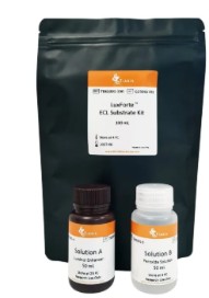 LUXFORTE ECL SUBSTRATE KIT (100 ML)