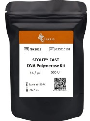 STOUT FAST DNA POLIMERASA KIT (500)