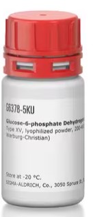 GLUCOSE-6-PHOSPHATE DEHYDROGENASE (2000UNTS)