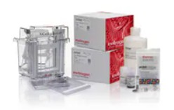 NOVEX WEDGEWELL TRIS-GLYCINE XCELL SURELOCK 12 POC