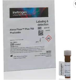 PHALLOIDIN ALEXA FLUOR PLUS 750 LABELING PROBES