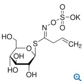 SINIGRIN POTASSIUM SALT (25 MG)
