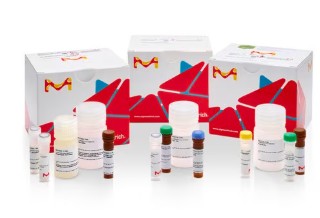 ALT ACTIVITY ASSAY KIT