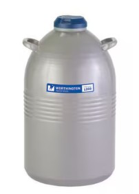 CONTENEDOR DEWAR P/NITROGENO LIQUIDO 50 L