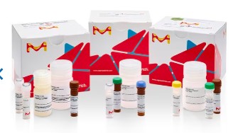 TRIGLYCERIDE QUANTIFICATION KIT 