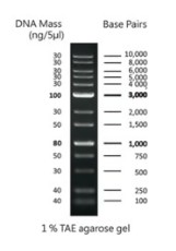 MARCADOR PESO  MOLECULAR 100 bp - 10 Kb
