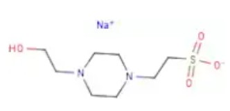 HEPES SODIUM SALT (1000 G)