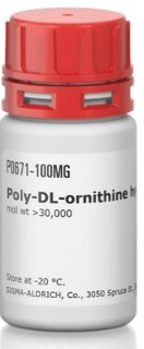 POLY-DL-ORNITHINE HYDROBROMIDE WT> 30.000 (25 MG)