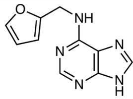 KINETINA >99.0%(T)(HPLC) (1)