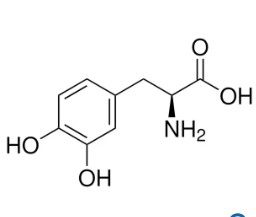 3,4-DIHIDROXI-L-FENILALANINA (500MG)