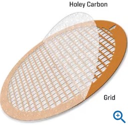 HOLEY CARBON FILM SUPPORTED COPPER GRIDS (25)