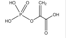 PHOSPHO(ENOL)PYRUVIC ACID TRISODIUM SAL HYDRATE