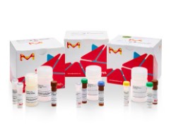 FREE AMINO NITROGEN ASSAY KIT