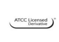STAPHYLOCOCCUS AUREUS ATCC ®  25923 (5 PELLET)
