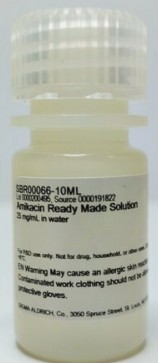 AMIKACIN (10 ML)