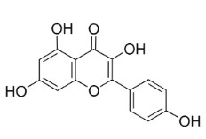 KAEMPFEROL (30 MG)