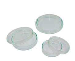 PLACA PETRI VIDRIO 60X15 MM (20)