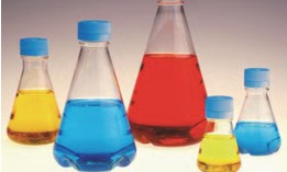 MATRAZ ERLENMEYER PETG 500 ML T/ROSCA ESTERIL (12)