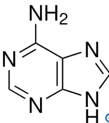 ADENINE (10 G)