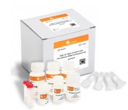 KIT EXTRACCION ADN EN SUELOS HIGH-Q (50)
