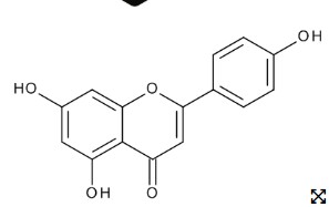 APIGENINA 25 MG