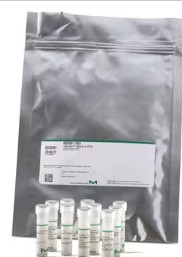 CEPA E.COLI O157:H7 1.000-10000 CFU