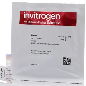 SYBR GOLD 10000X EN DMSO (500 UL)