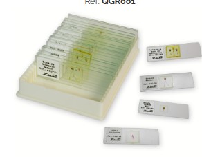 PREPARADO HISTOLOGICO TRAQUEA