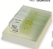 PREPARADO HISTOLOGICO VESICULA BILIAR