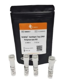 WARM HOTSTART TAQ DNA POLYMERASE KIT (500 U)