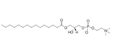 19:0 LYSO PC (25 MG)