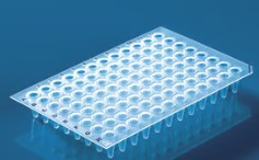 PLACA PCR 96 POCILLOS 150 ul TRANSPARENTE  (50)