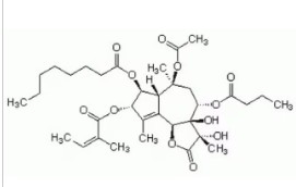 THAPSIGARGIN ≥97% (1 MG)